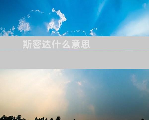 斯密达什么意思