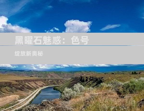 黑曜石魅惑：色号绽放新奥秘