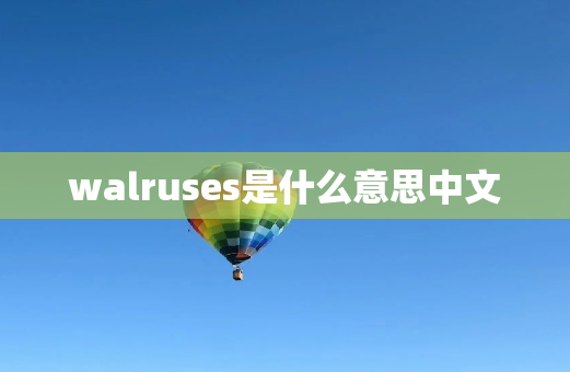 walruses是什么意思中文